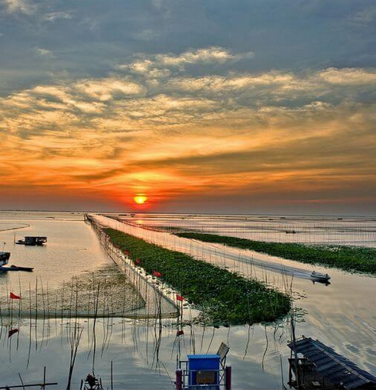 洪湖（湖北大型淡水湖）