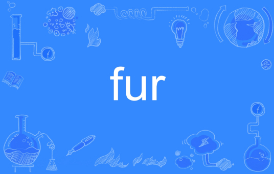 Fur（英文单词）