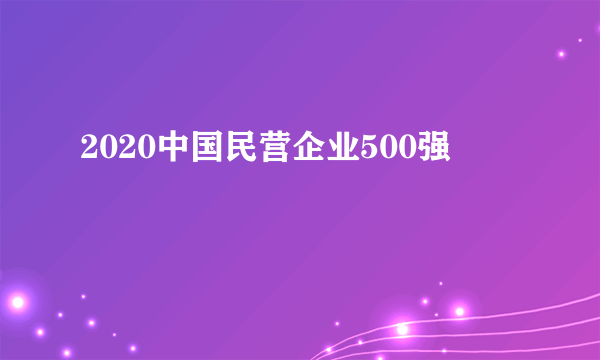 2020中国民营企业500强