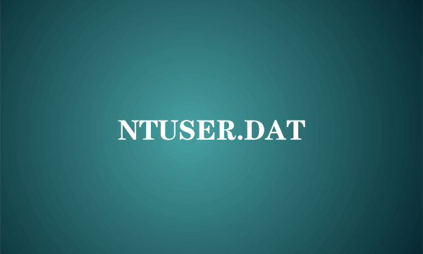 NTUSER.DAT