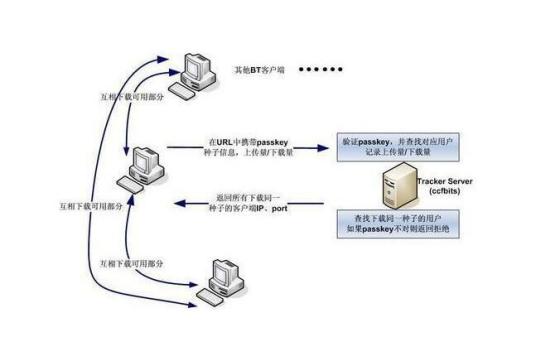 什么是pt下载