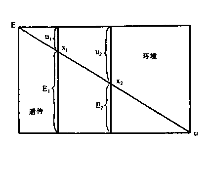 什么是决定论