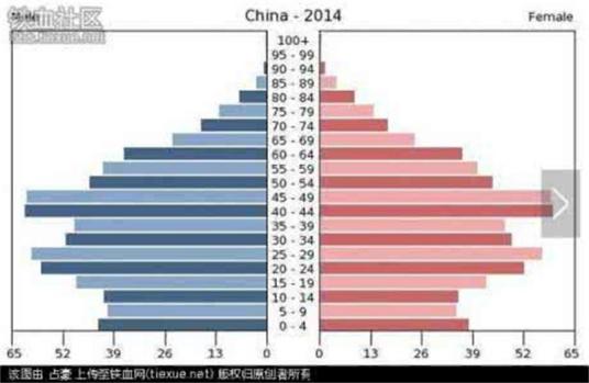 人口年龄结构