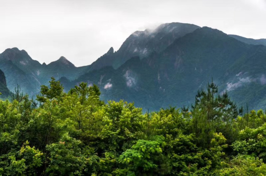 牯牛降风景区