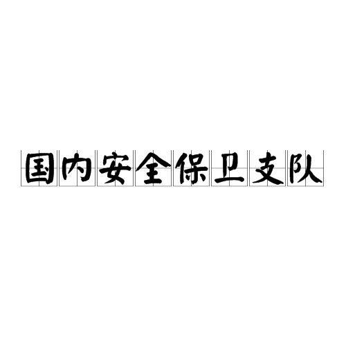 什么是国内安全保卫支队