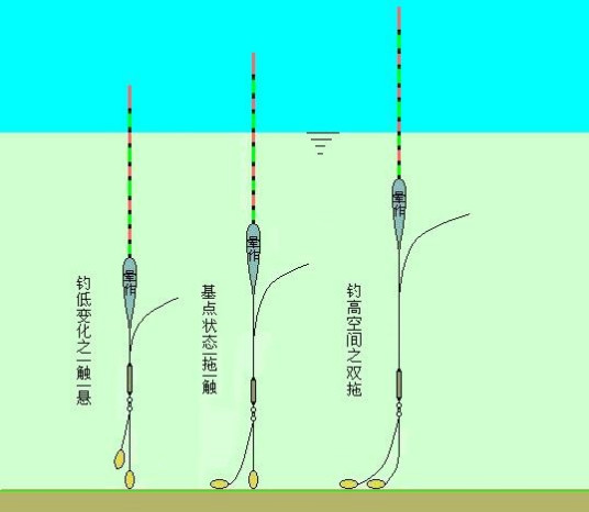 钓鱼论坛