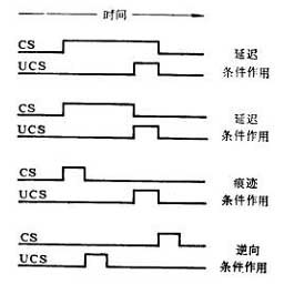 操作性条件反射