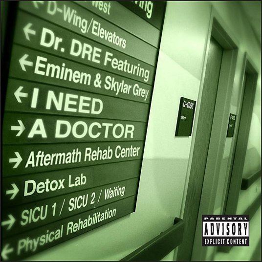 I Need A Doctor（Eminem等人演唱的歌曲）