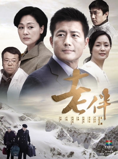 老伴（2008年孙皓执导电视剧）