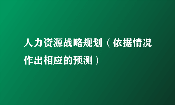 人力资源战略规划（依据情况作出相应的预测）