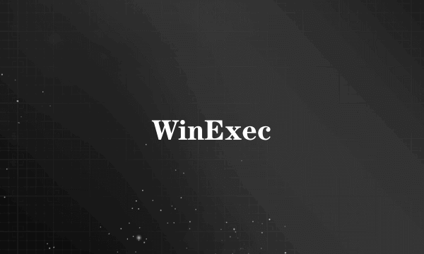 什么是WinExec