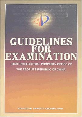 什么是审查指南（2007年知识产权出版的图书）