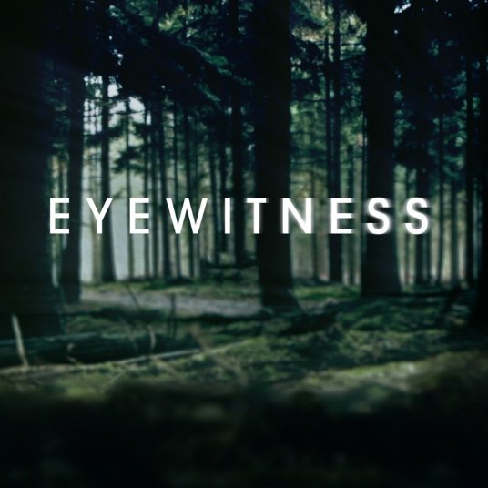 什么是目击证人（美剧《Eyewitness》）