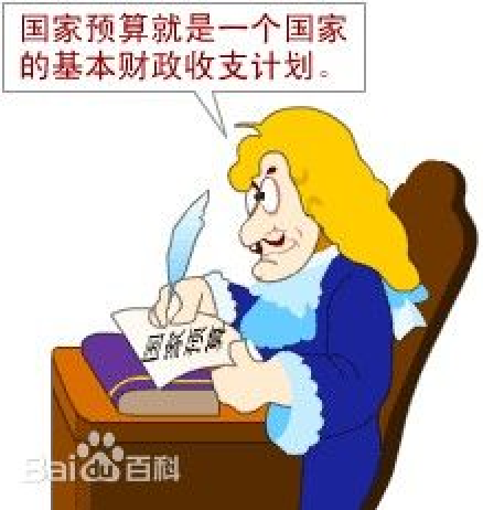 什么是国家预算