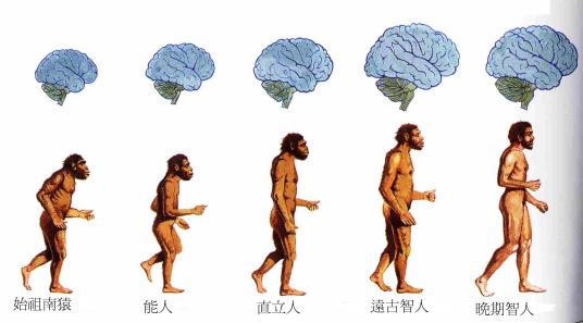 地球人（生活在地球上的人类）