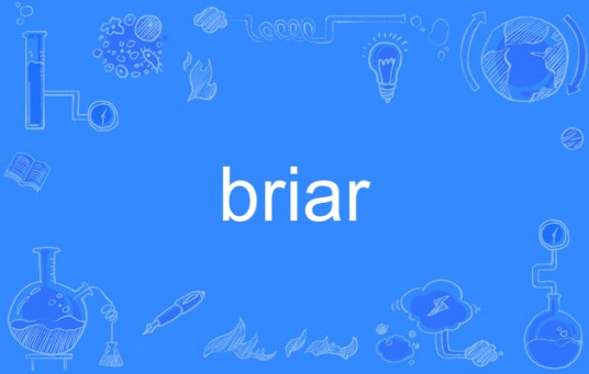 briar