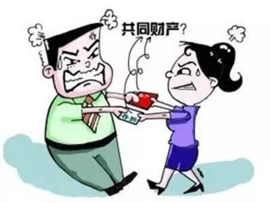 共同财产（经济学领域术语）