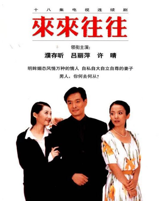 什么是来来往往（1998年田迪执导电视剧）