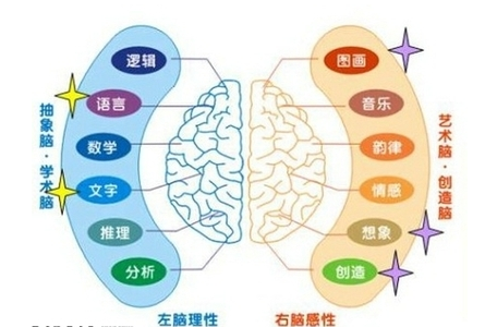 右脑开发（教育学用语）