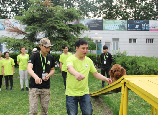 什么是训犬师