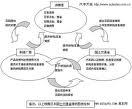 汽车召回制度