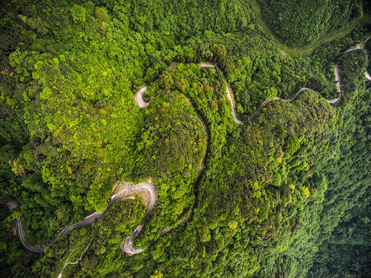 什么是白马山（重庆市武隆区白马山）