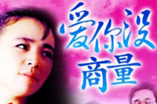 爱你没商量（1992年宋丹丹主演电视剧）