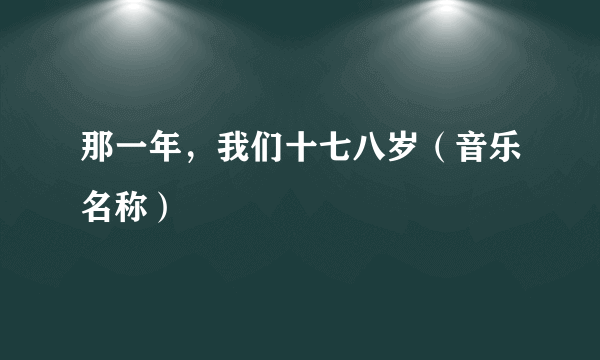 那一年，我们十七八岁（音乐名称）