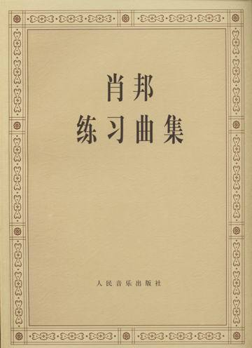 什么是肖邦练习曲集（1995年人民音乐出版社出版的图书）