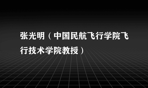 张光明（中国民航飞行学院飞行技术学院教授）