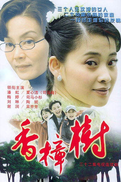 香樟树（2004年梅婷主演大陆电视剧）