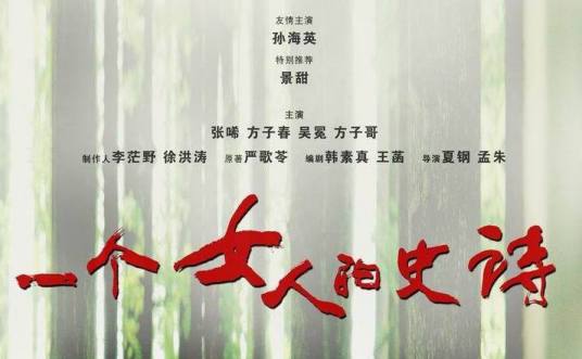 一个女人的史诗（2009年刘烨主演电视剧）