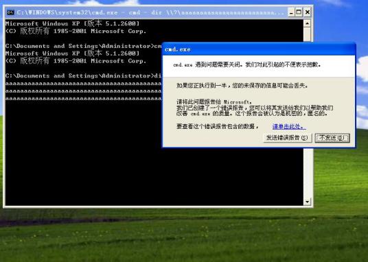 cmd.exe病毒