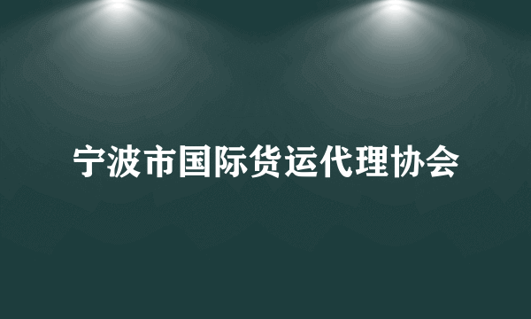 宁波市国际货运代理协会