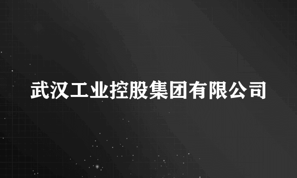 武汉工业控股集团有限公司