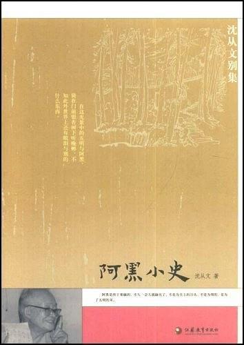 阿黑小史（2005年江苏教育出版社出版的图书）