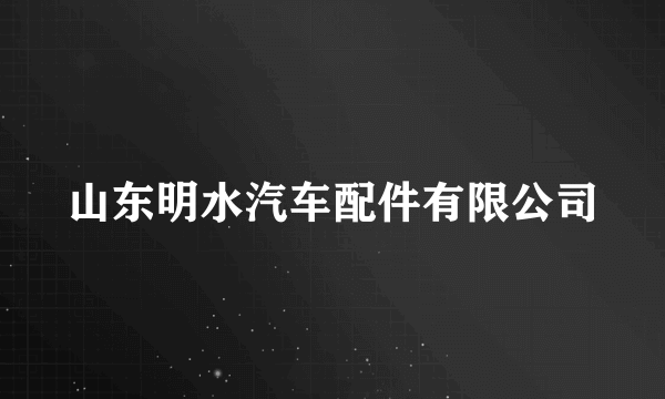 山东明水汽车配件有限公司