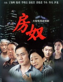 房子（2009年张晓光执导电视剧）