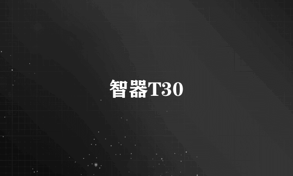 什么是智器T30