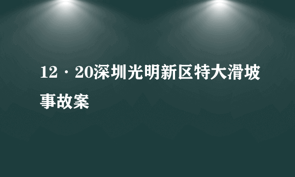 12·20深圳光明新区特大滑坡事故案