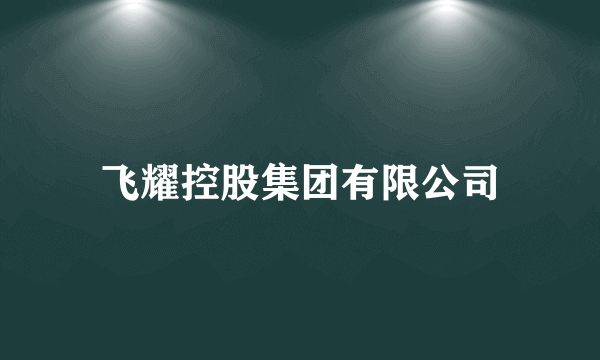 什么是飞耀控股集团有限公司