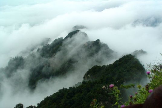 什么是瘦狗岭（广州瘦狗岭）