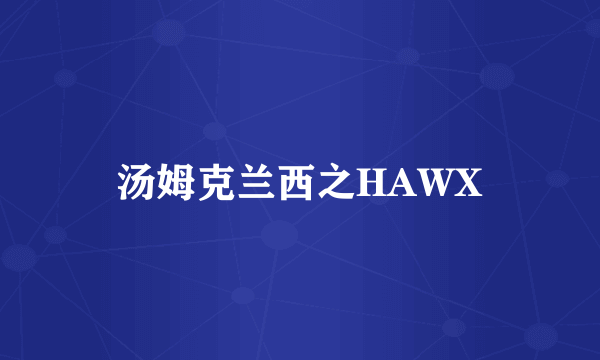 什么是汤姆克兰西之HAWX