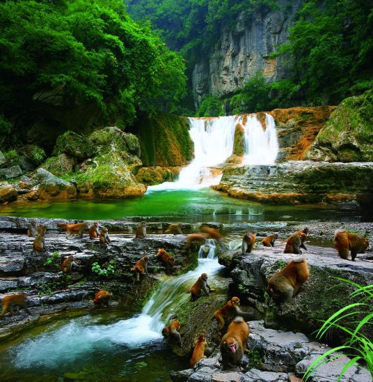 蟒河风景区