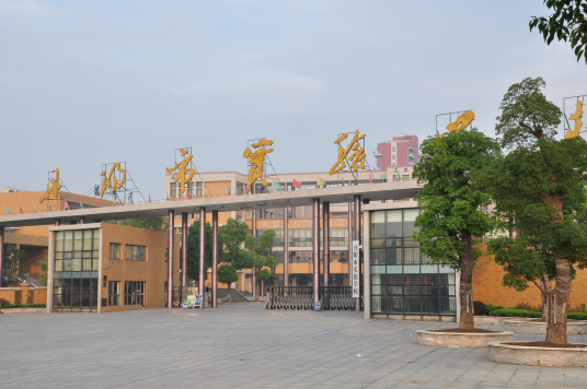 什么是丹阳市实验学校