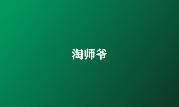 淘师爷