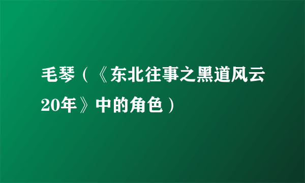 毛琴（《东北往事之黑道风云20年》中的角色）