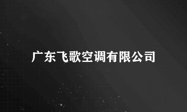 广东飞歌空调有限公司