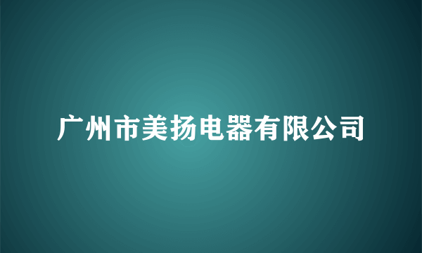 广州市美扬电器有限公司