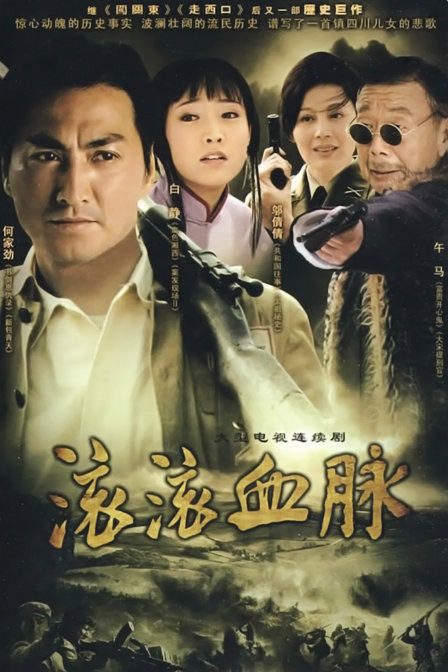 什么是滚滚血脉（2009年刘立立执导的电视剧）